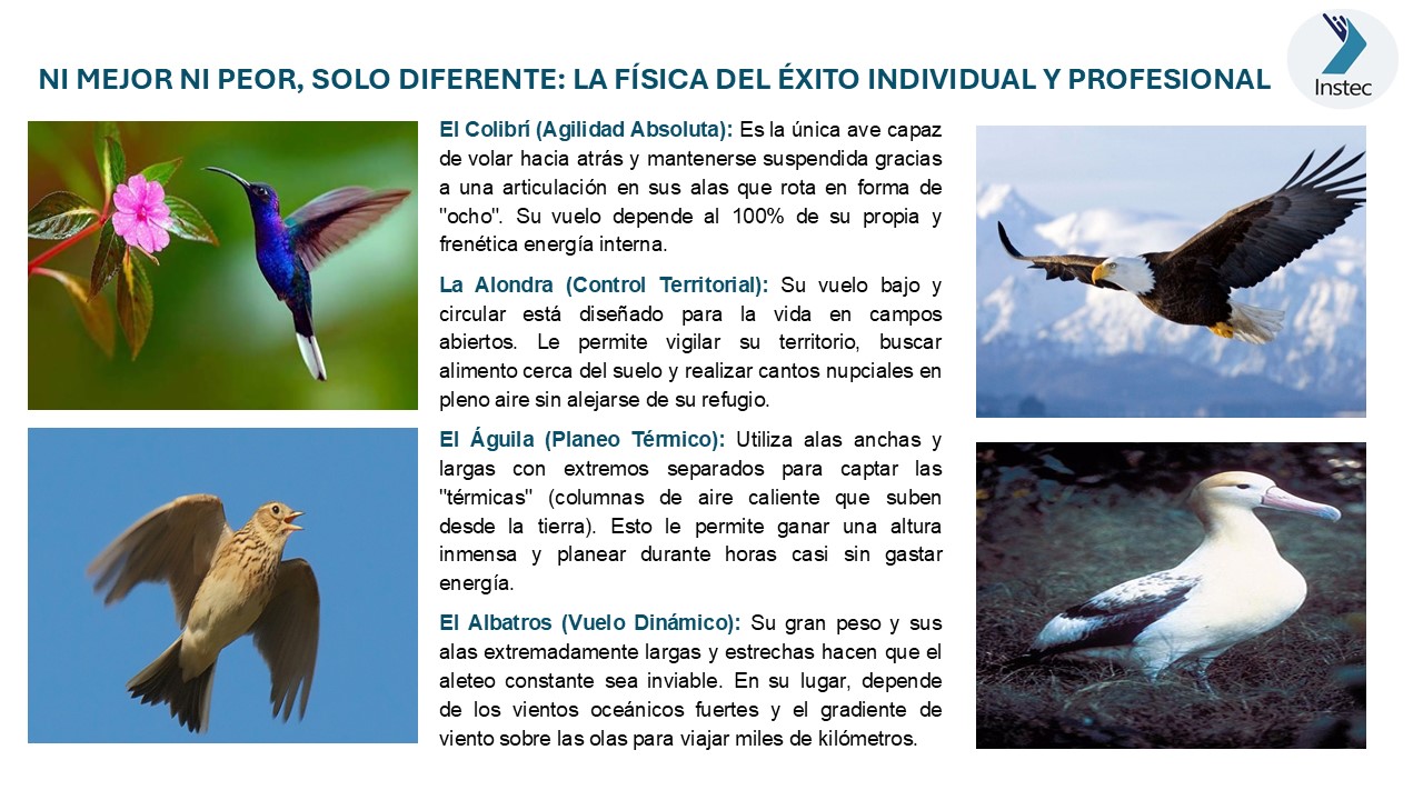 Ni mejor ni peor, solo diferente: la física del éxito individual y profesional