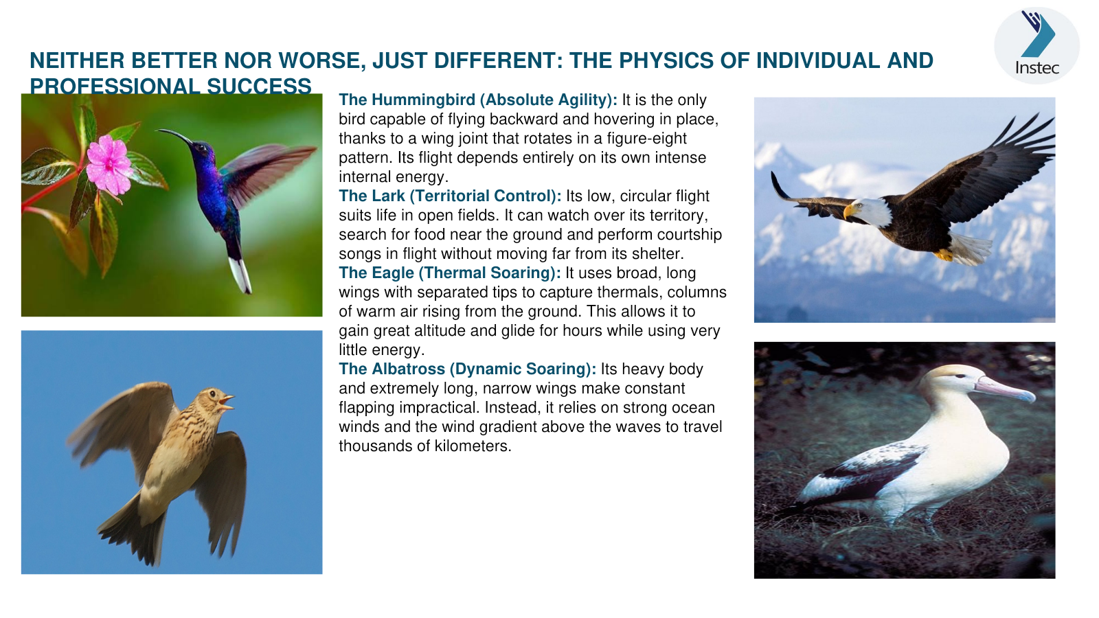 Neither Better nor Worse, Just Different: The Physics of Individual and Professional Success
